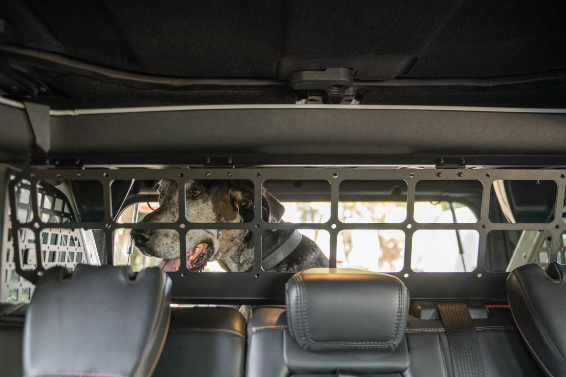 2021-2024-Ford-Bronco-Dog-Barrier-With-Dog-8.jpg