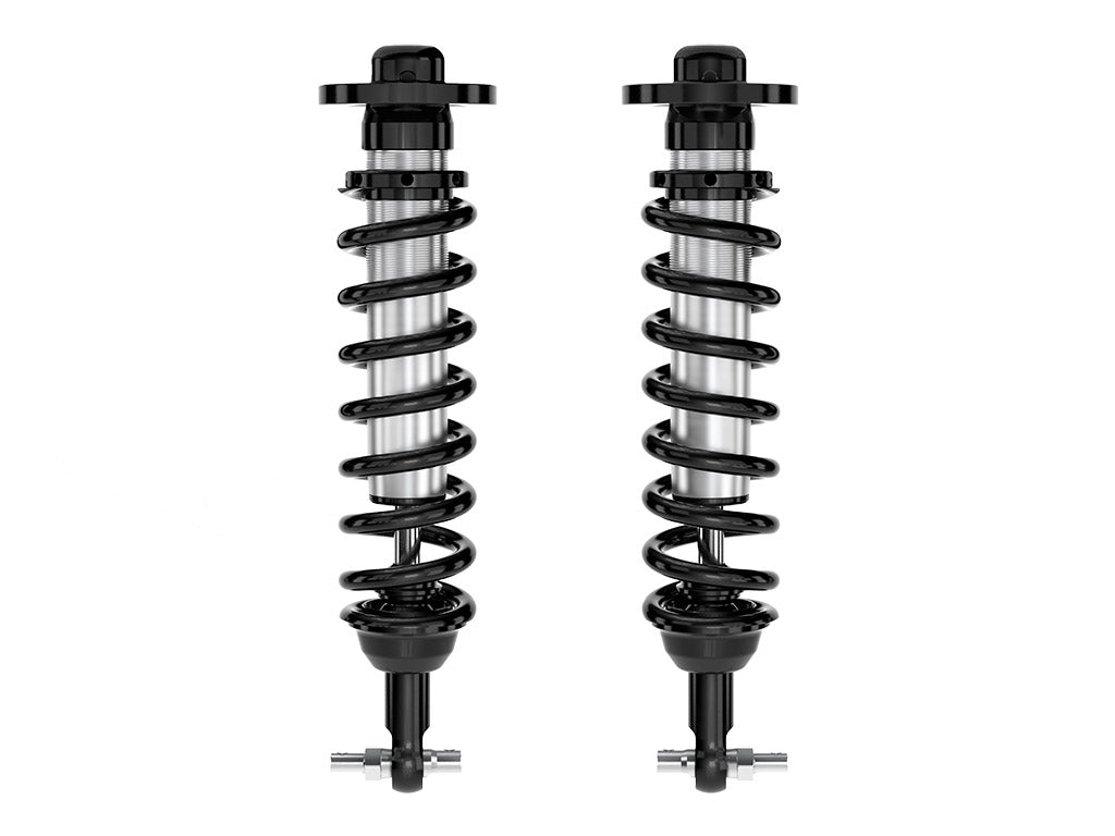 91722_Coilover_PAIR_STRT.jpg