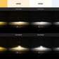 Bi-Xenon: Morimoto Mini H1 9.0 (LHD) - Trucks R Us