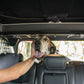 2021-2024-Ford-Bronco-Dog-Barrier-With-Dog-11.jpg