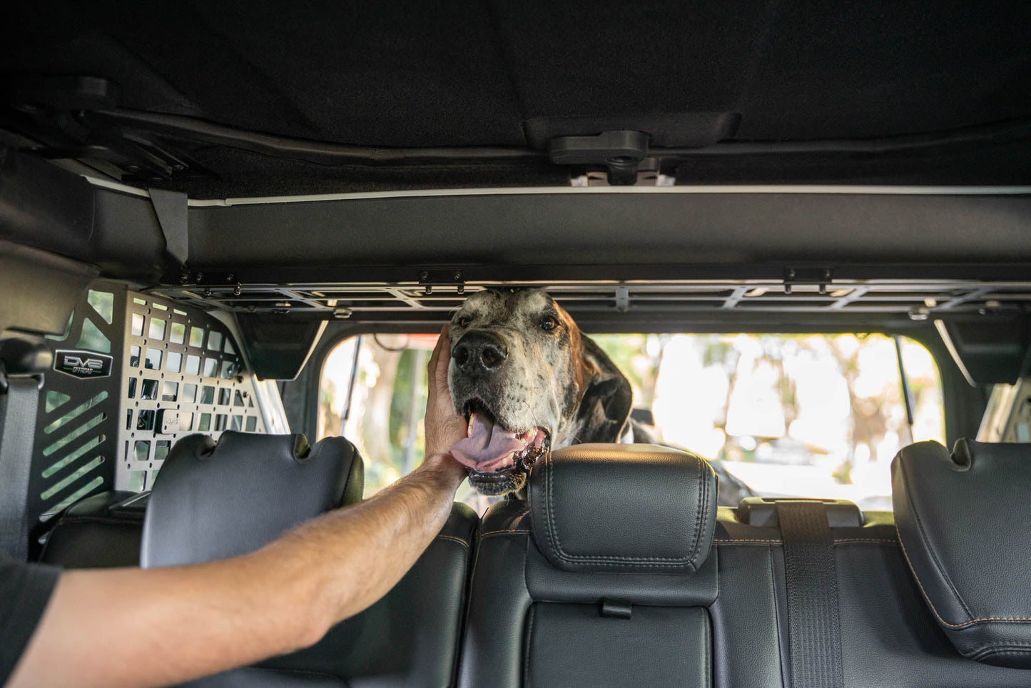 2021-2024-Ford-Bronco-Dog-Barrier-With-Dog-11.jpg