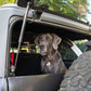 2021-2024-Ford-Bronco-Dog-Barrier-With-Dog-3.jpg