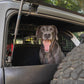 2021-2024-Ford-Bronco-Dog-Barrier-With-Dog-4.jpg