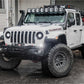 LF517