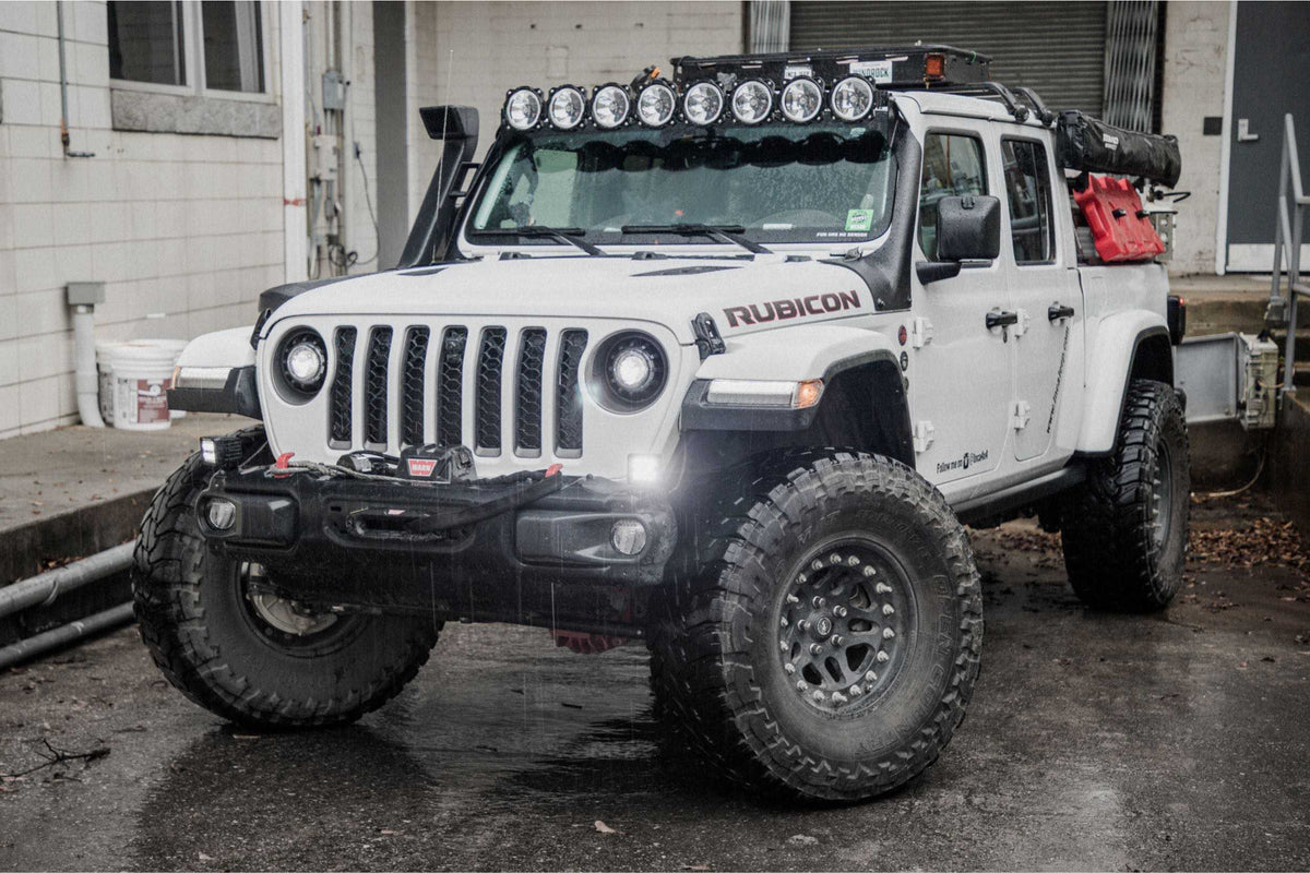 LF517