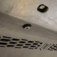 56116_24 TacomaFront_SKIDPLATE_LS02_web-large.jpg