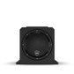 STEALTH AS-10 | 10-inch Powered Marine Sub Enclosure