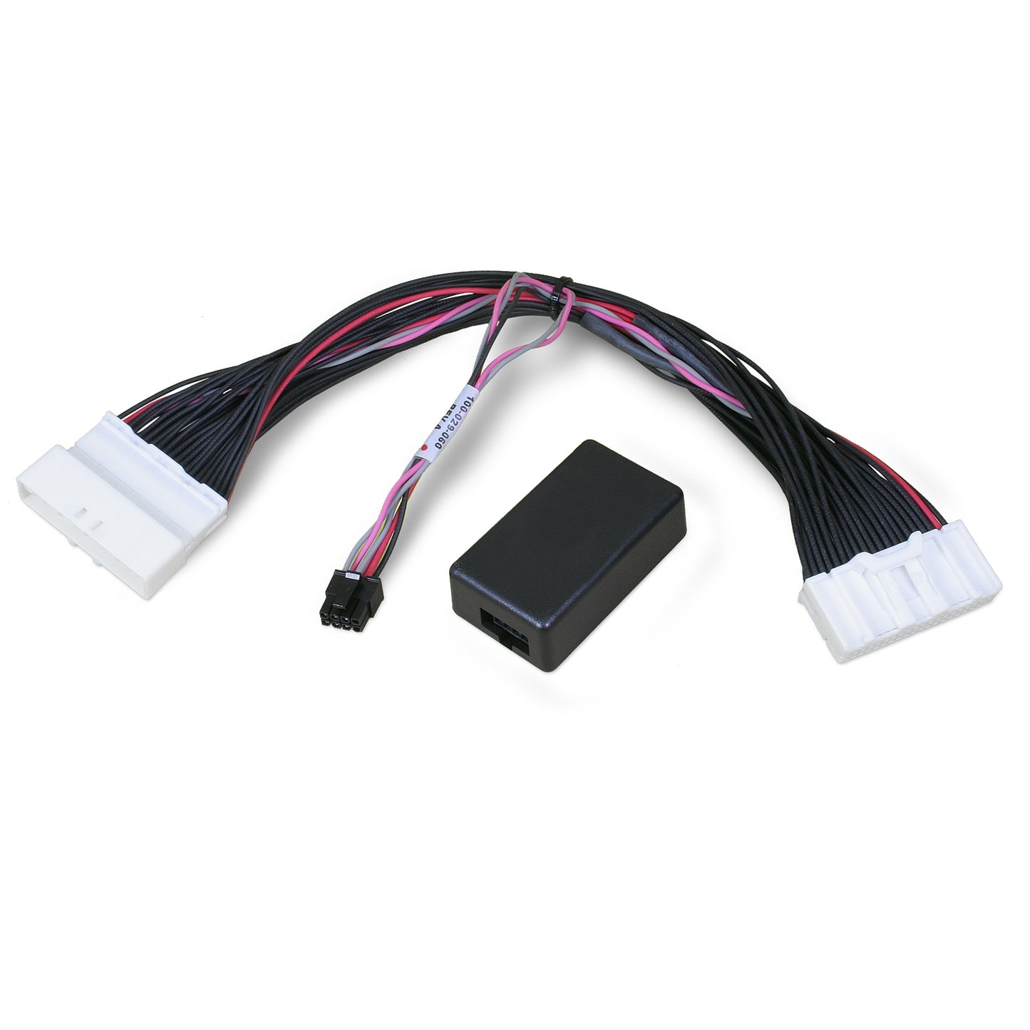 BFFP_730134.jpg