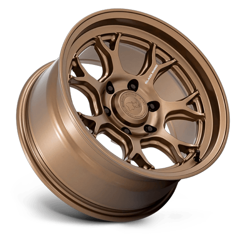 ETOSHA 17X8.5 6X5.5 106 +12 M-BRNZ