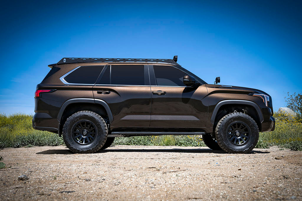 DTS_3339Y-1024w.jpg