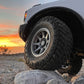 DUSTY_BRONCO_6_WEBLARGE.jpg