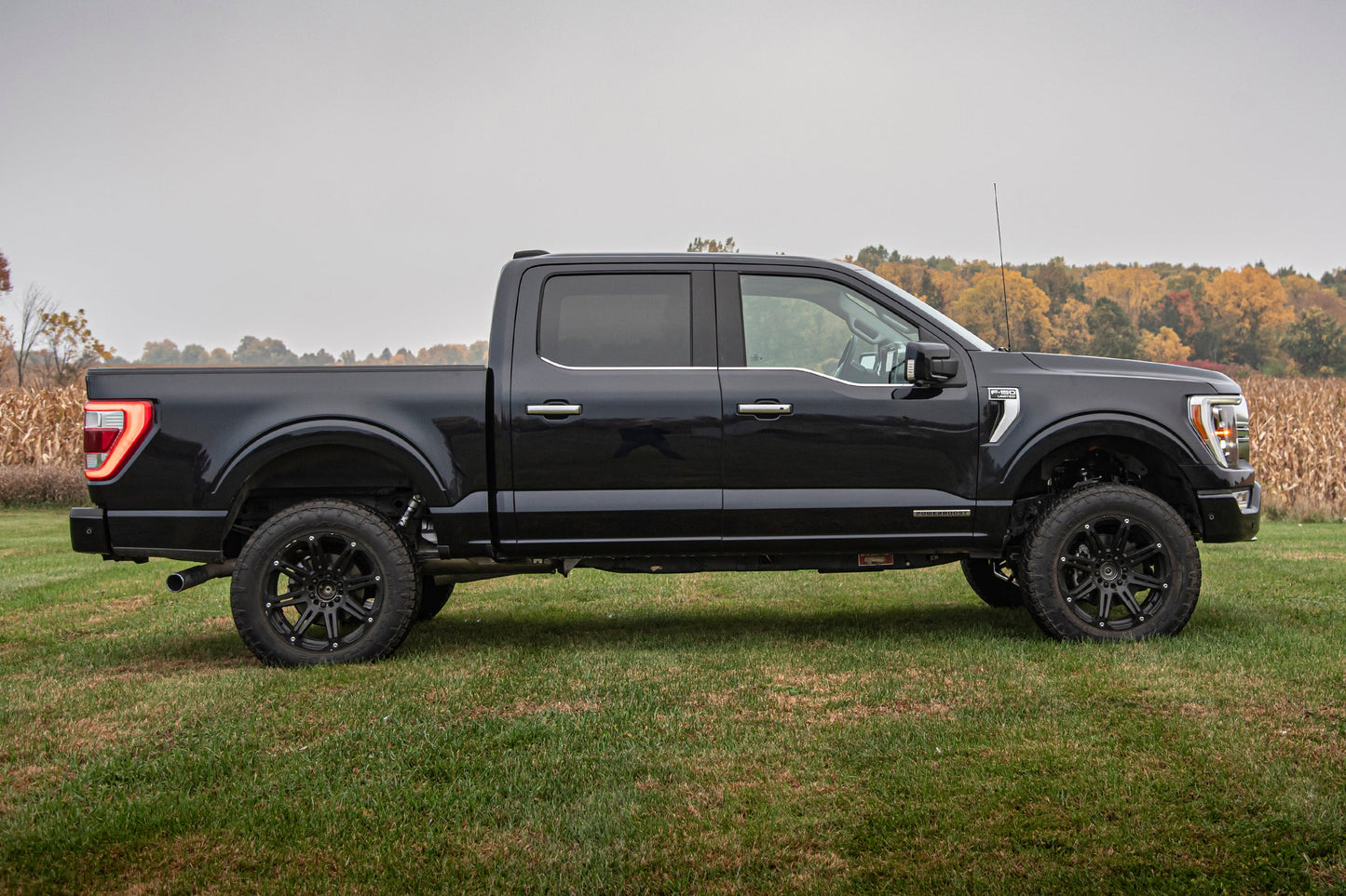 BDS Suspension 4 Inch Lift Kit | FOX 2.0 Strut | Ford F150 (21-25) 4WD - Trucks R Us