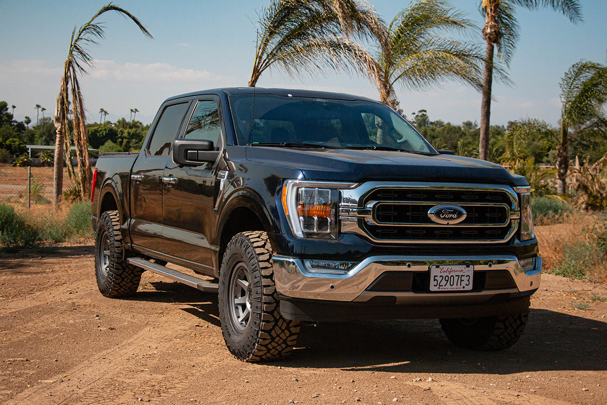 F150_Blue_2_WEBLARGE.jpg