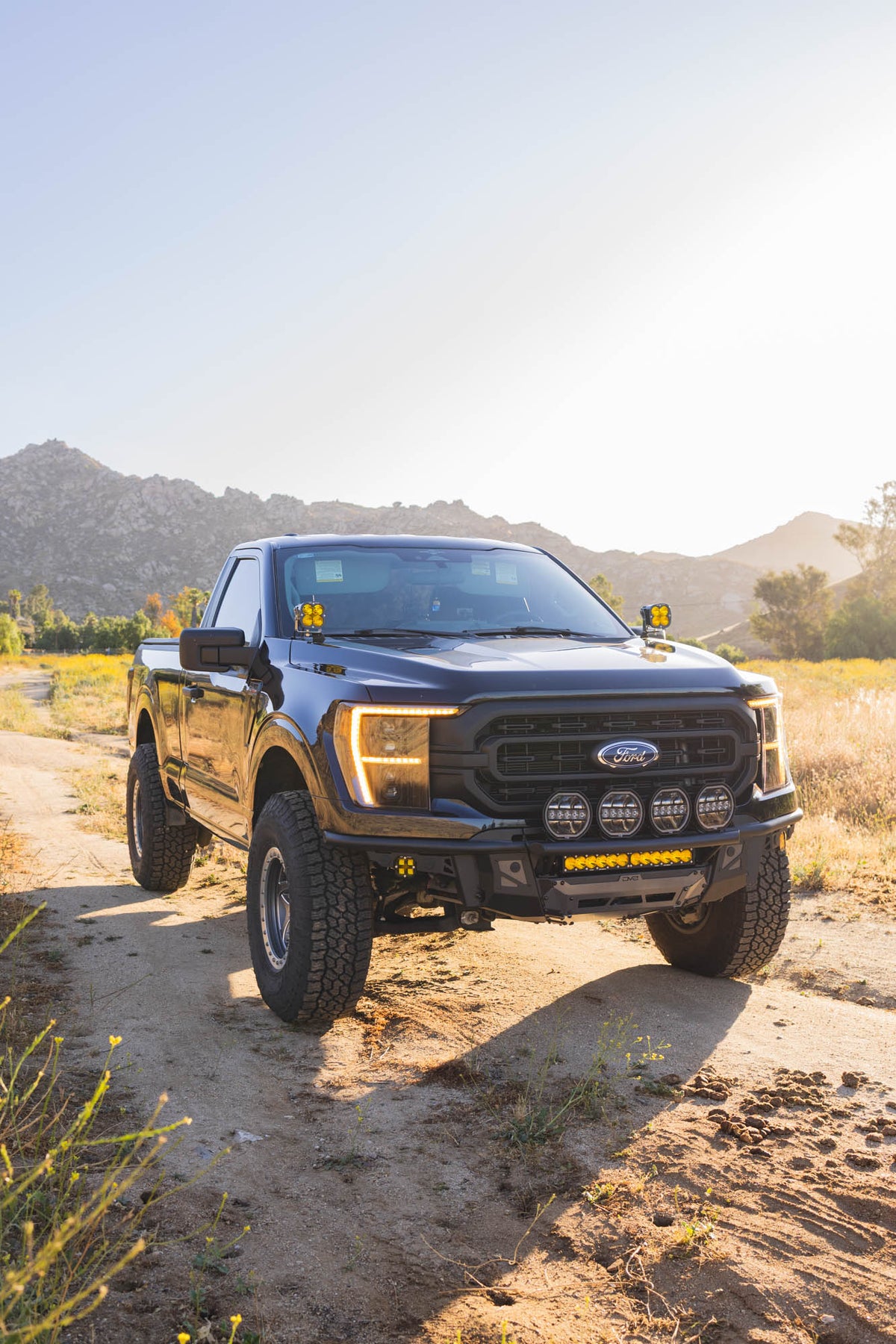 FBFF1-13_installed-5.jpg