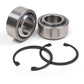 Control Arm Service Kit | Fits FOX Control Arms Only | Ram 1500 (09-26)