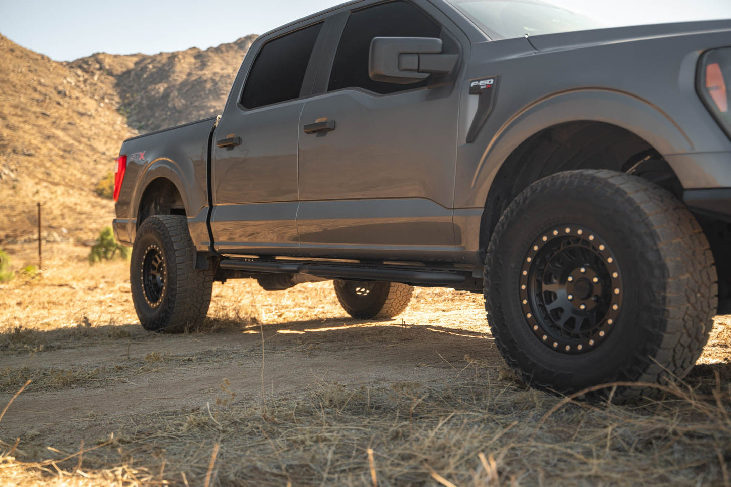Ford-F-150-Crew-Cab-OE-Plus-Side-Steps-Installed-2.jpg