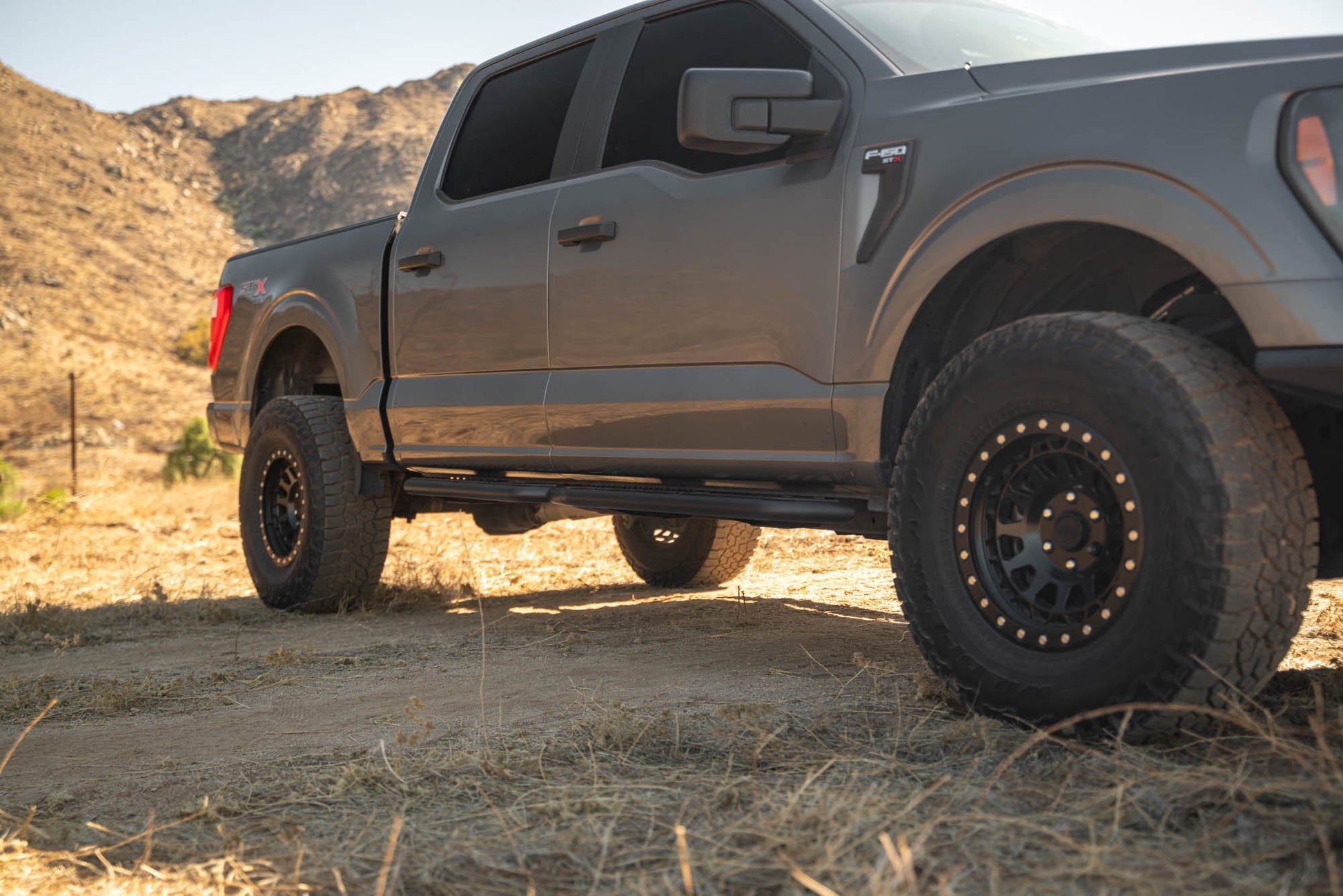 Ford-F-150-Crew-Cab-OE-Plus-Side-Steps-Installed-2.jpg