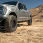 Ford-F-150-Crew-Cab-OE-Plus-Side-Steps-Installed-5.jpg