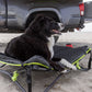 Quick Fold Dog Bed with Padded Mat