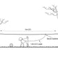Pet Tethering Leash System