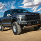IVD_G3-Raptor_LS01_web-large.jpg