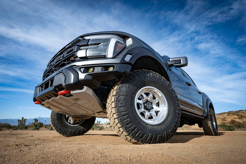 IVD_G3-Raptor_LS03_web-large.jpg