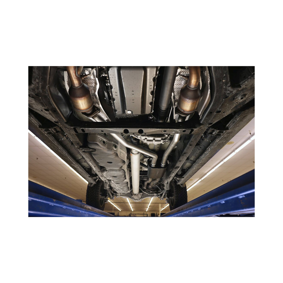 R5_20366.jpg