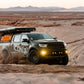 RANGER_ACTION_1_WEB_LARGE.jpg