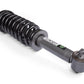 Zone Offroad Loaded Strut | Single | 2 Inch Lift | F150 (14-26)