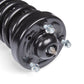 Zone Offroad Loaded Strut | Single | 6 Inch Lift | Ford F150 (14-26)