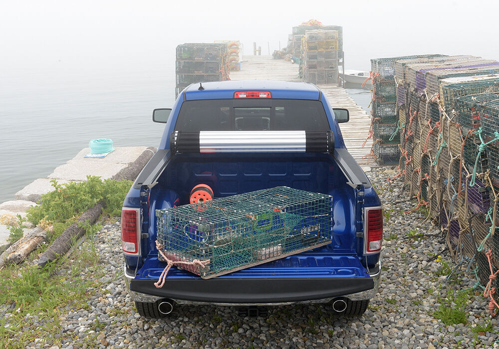 SDC-39440